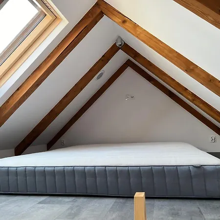 Apartament 